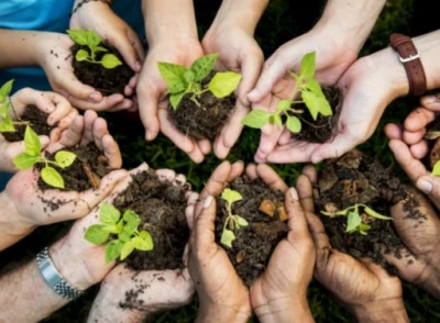 Environment Culture